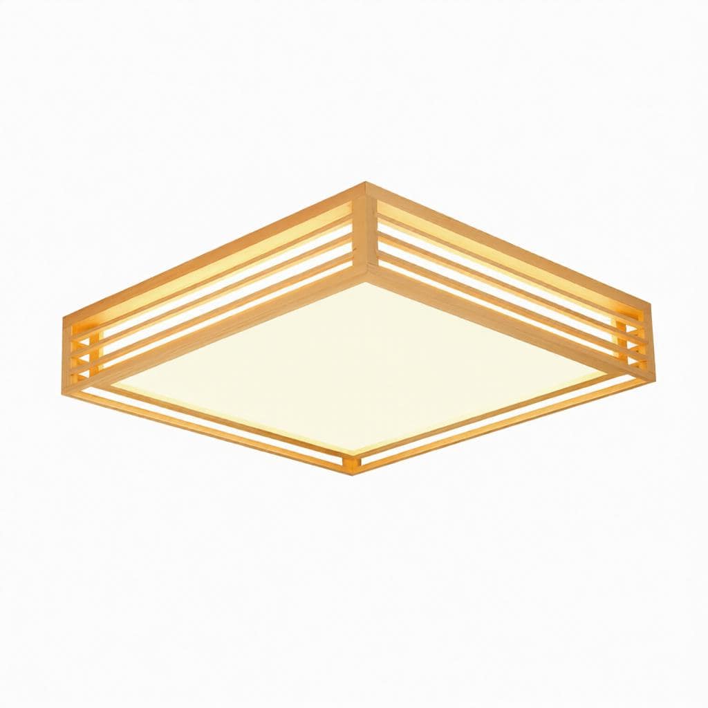 Iselwyn | Ceiling Mounted Light