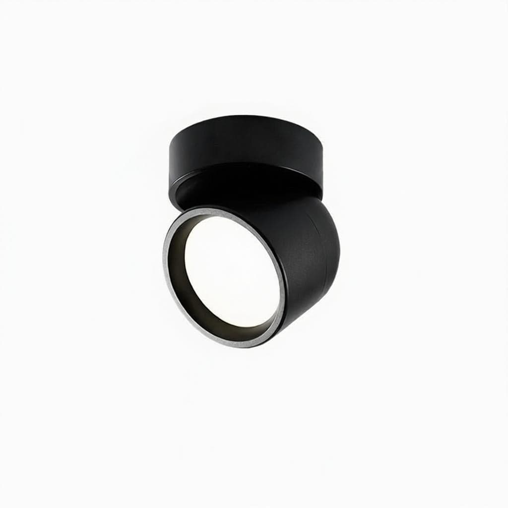 Jorvenithae | Surface Mounted Light