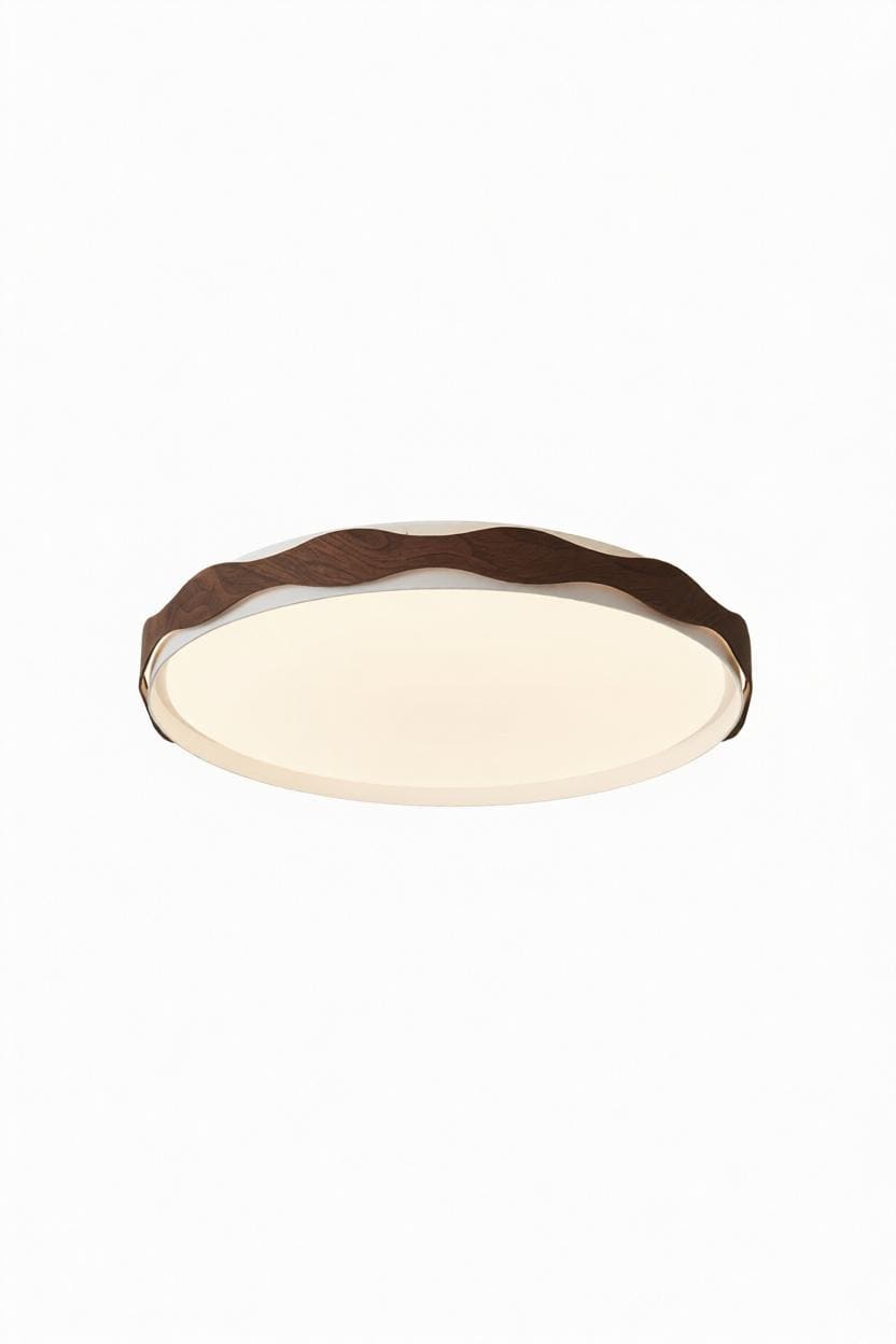 Taelithra | Ceiling Mounted Light - Detail View #6 | HomeCartel