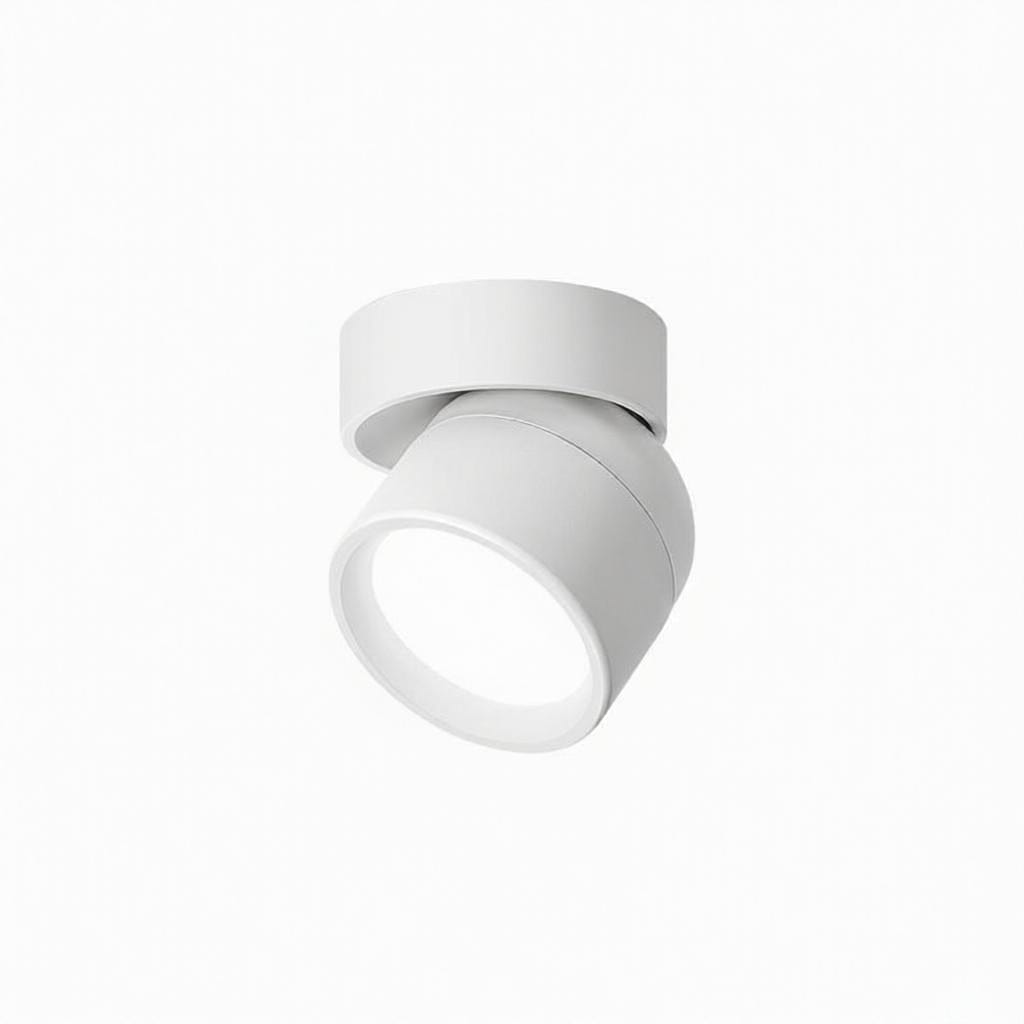 Jorvenithae | Surface Mounted Light
