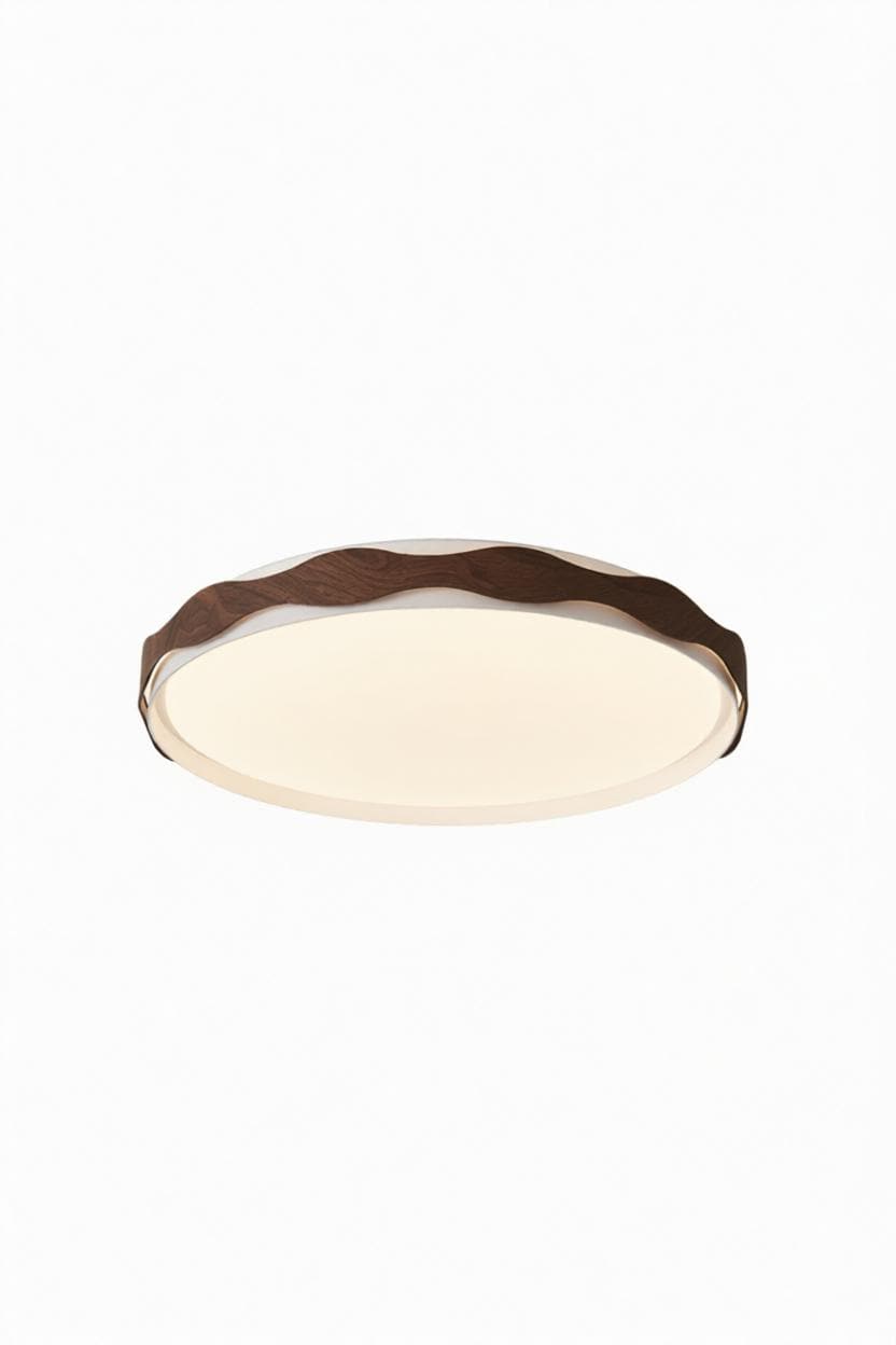 Taelithra | Ceiling Mounted Light - Modern Lighting Fixture | HomeCartel Philippines