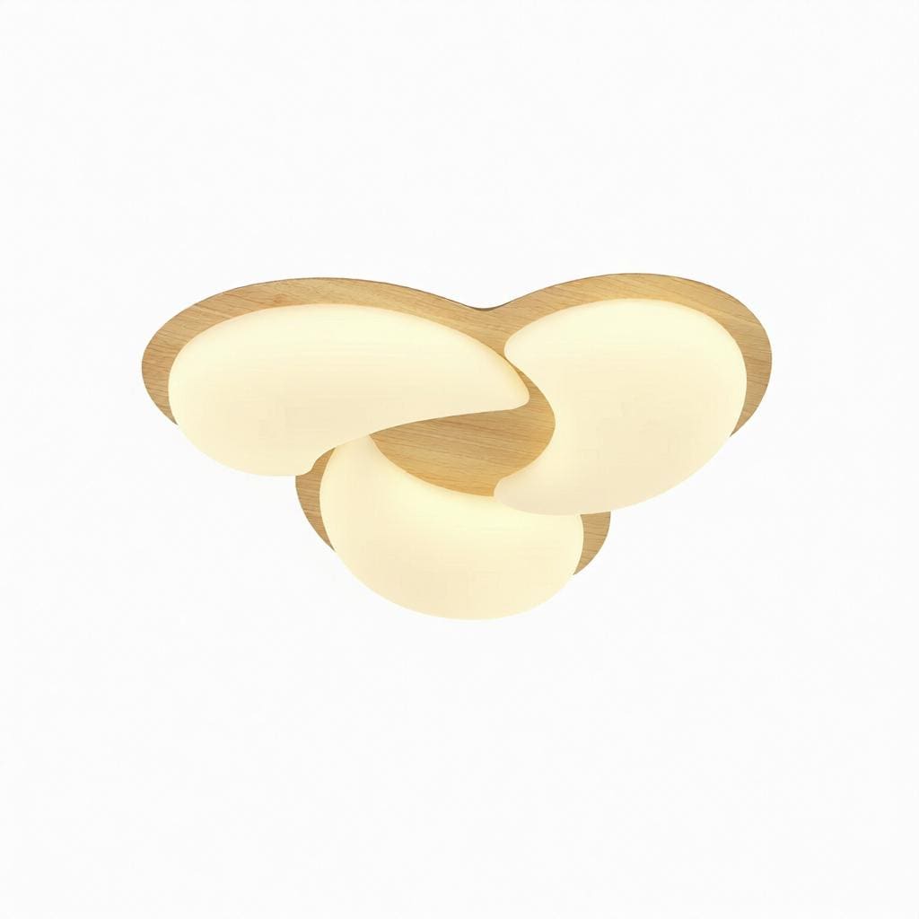 Teyranne A | Ceiling Mounted Light - Detail View #5 | HomeCartel