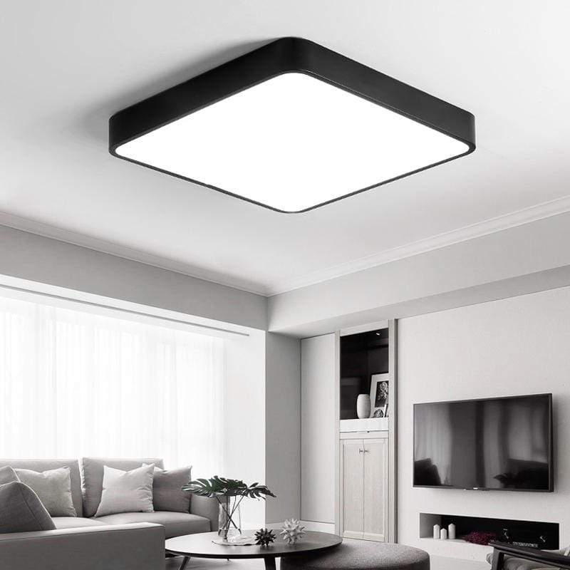 Baron Deux | 2 Color Ceiling Mounted Light - Home Cartel ®