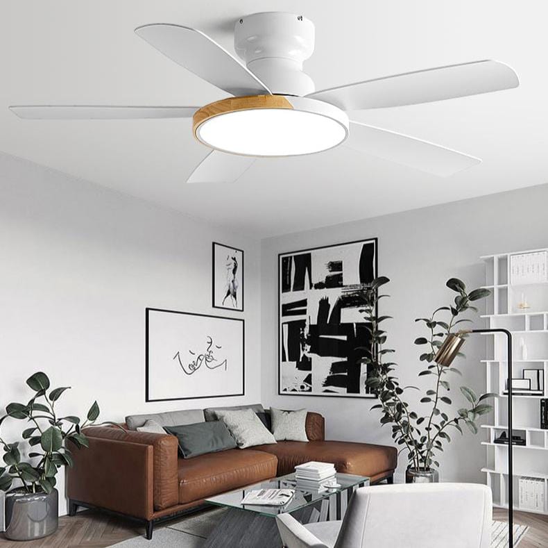 Jehtro | Lighted Ceiling Fan - Modern Lighted Ceiling Fan | HomeCartel Philippines