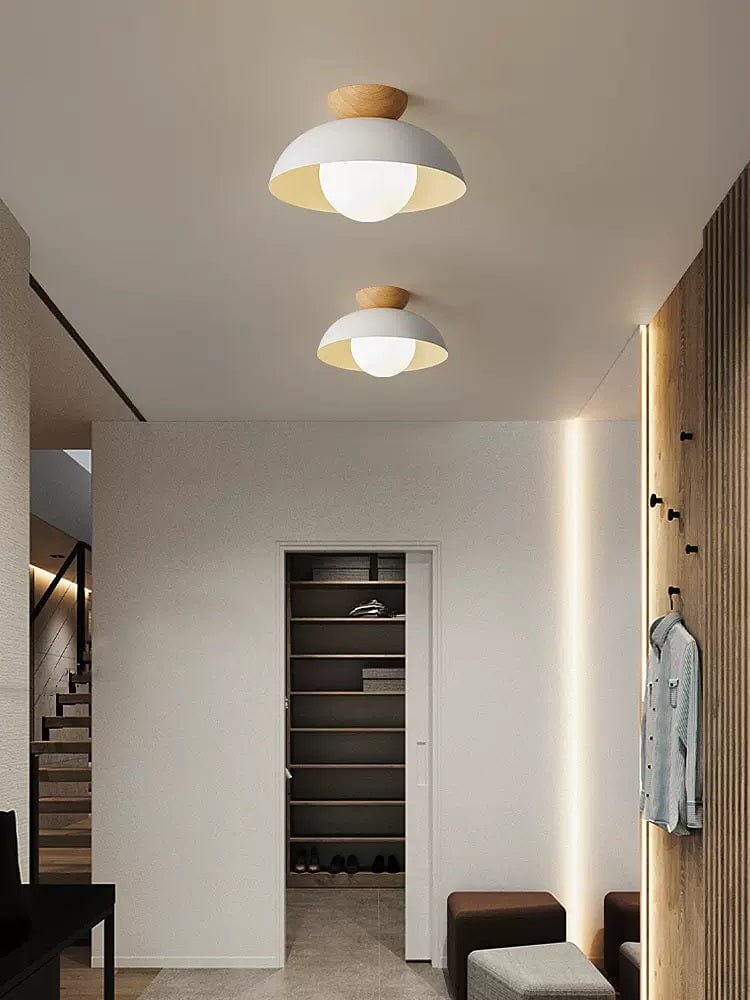 Sivia | Ceiling Mounted Light - Home Cartel ®