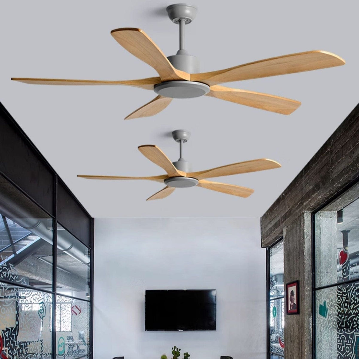 Molindra | Big Ceiling Fan - Modern Big Ceiling Fan | HomeCartel Philippines