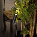 Senna | Garden Light