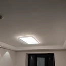 Alexis | Surface Mounted Light