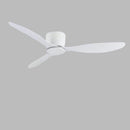 Roach | Low Profile Ceiling Fan