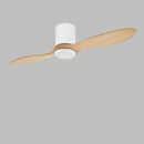Begaye | Low Profile Ceiling Fan