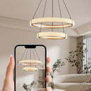 Quintus | Chandelier