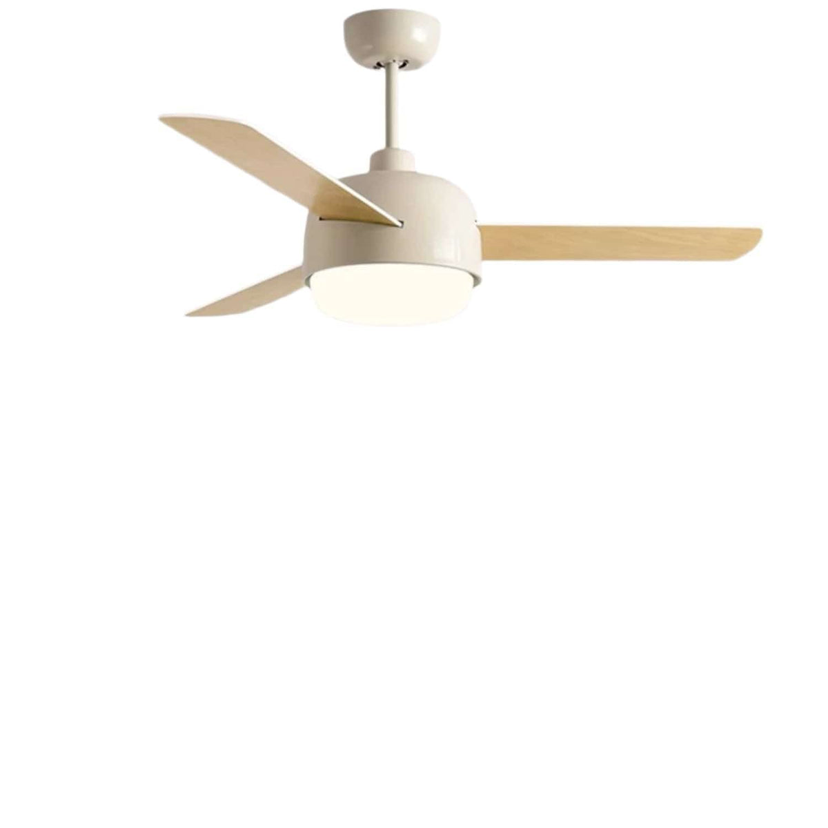 Clemson | Lighted Ceiling Fan - Home Cartel ®