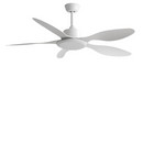 Temperance | Standard Ceiling Fan