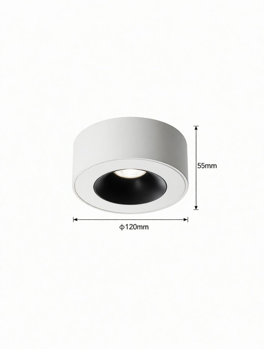 Sylarenil | Surface Mounted Light