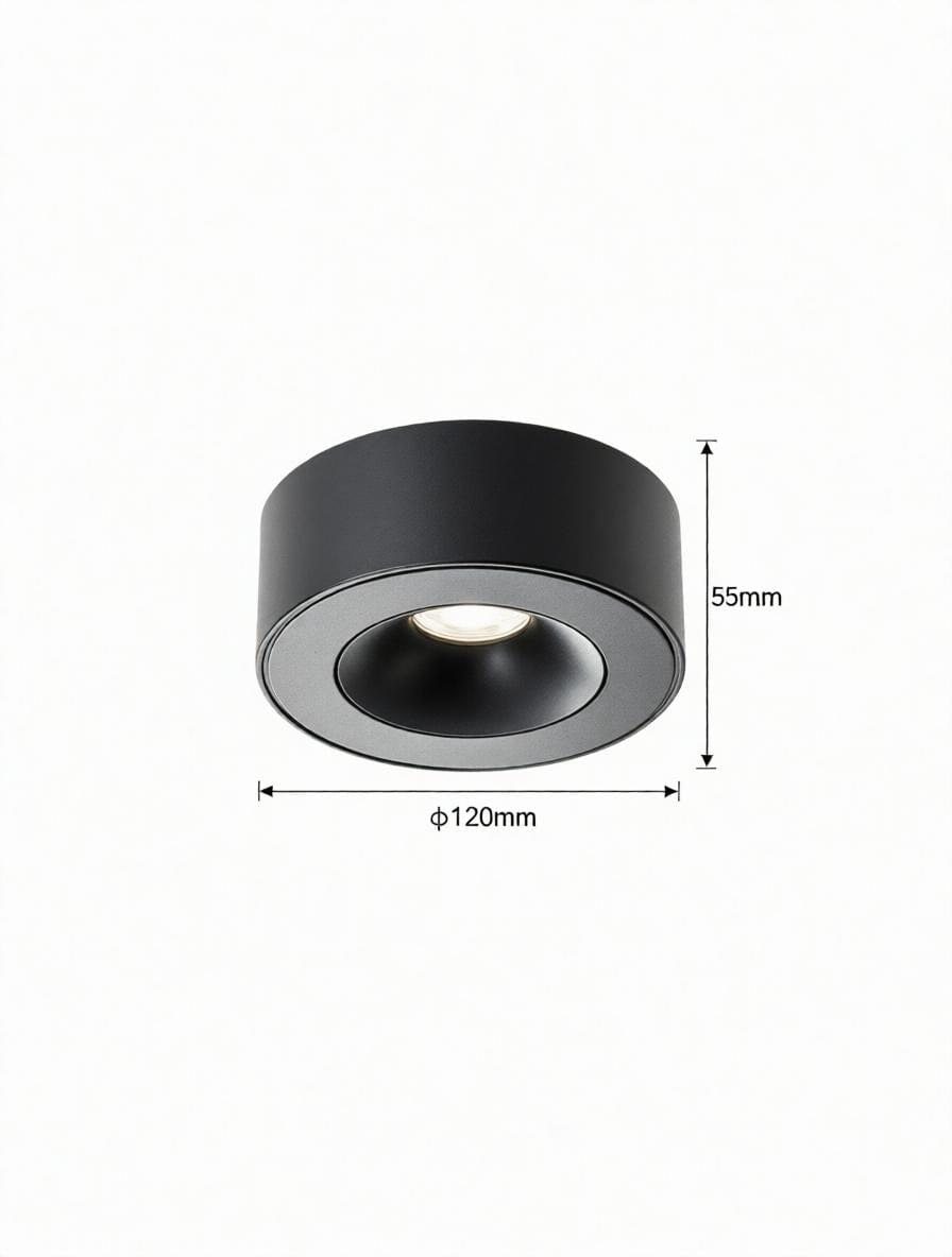 Sylarenil | Surface Mounted Light