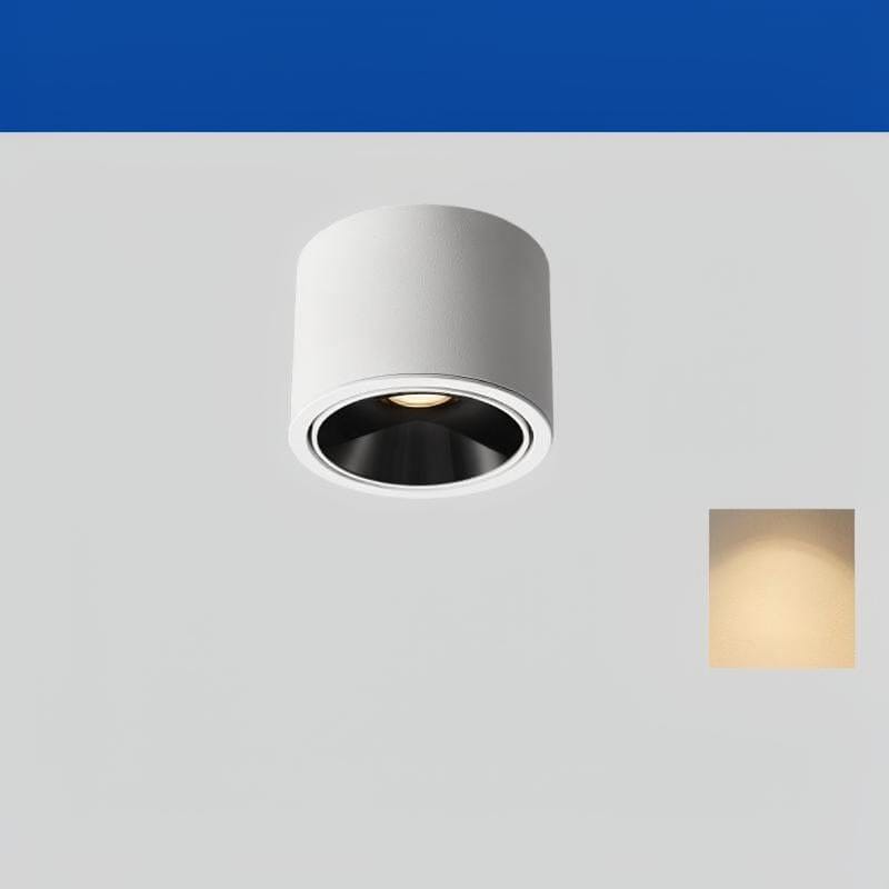 Jonvaleriae | Surface Mounted Light - Detail View #2 | HomeCartel