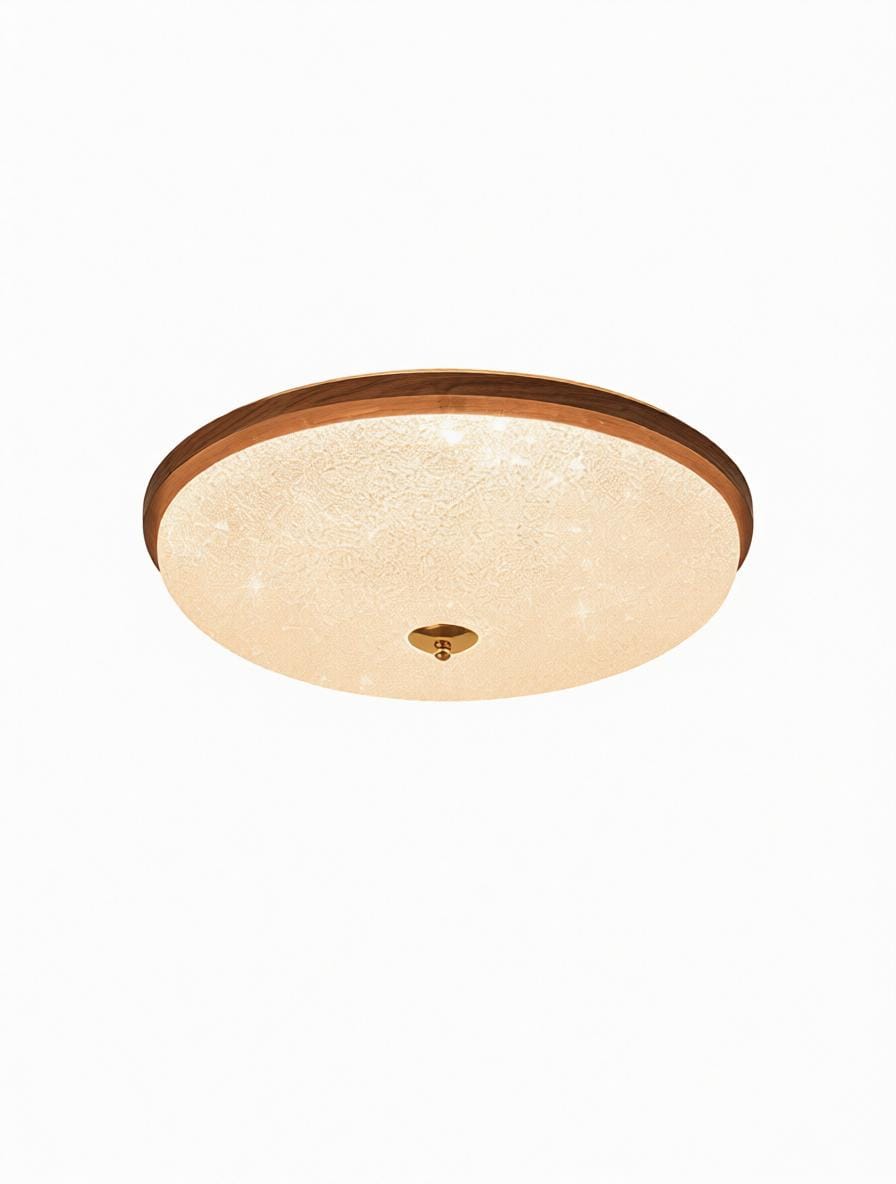 Daelina C | Ceiling Mounted Light - Modern Lighting Fixture | HomeCartel Philippines