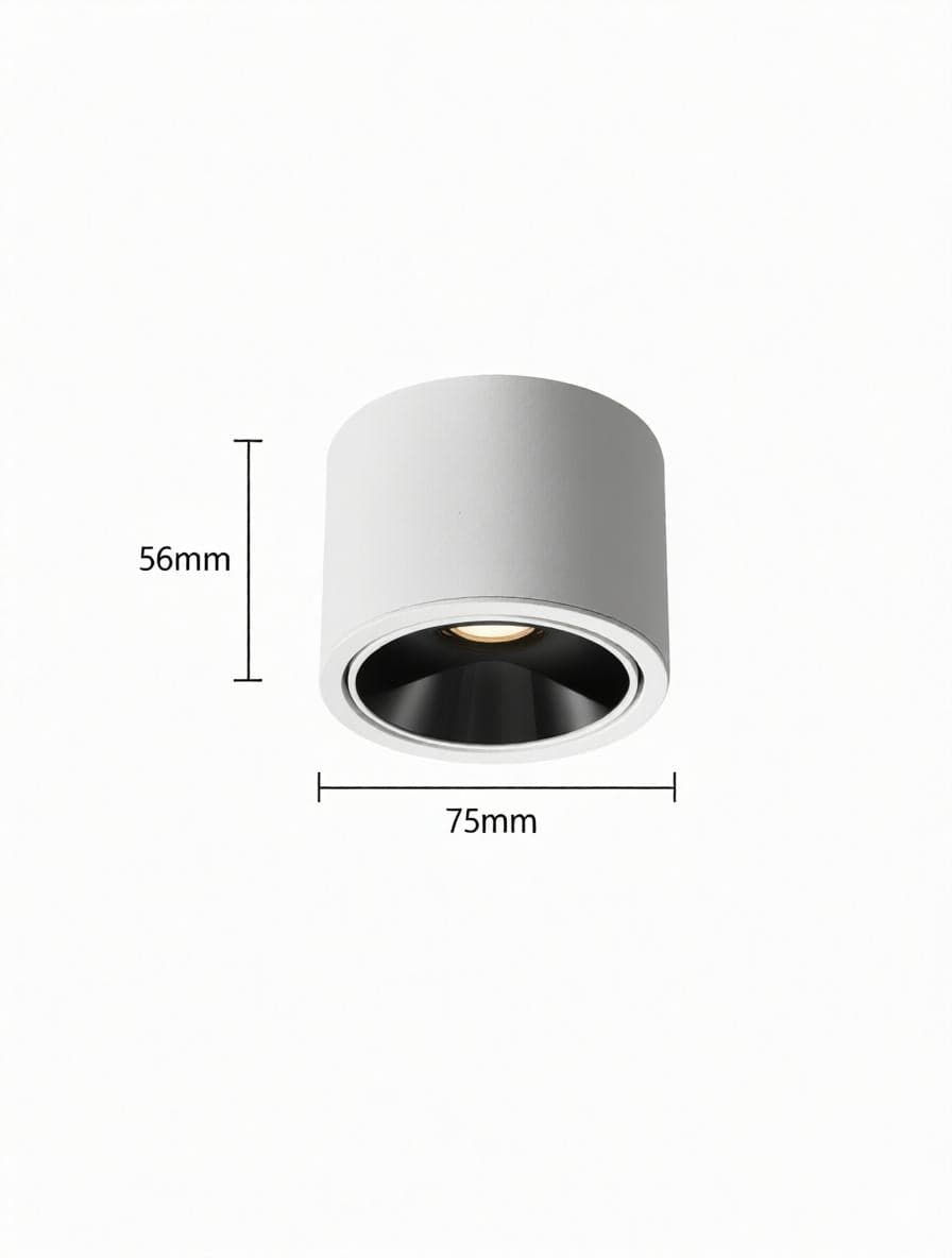 Jonvaleriae | Surface Mounted Light