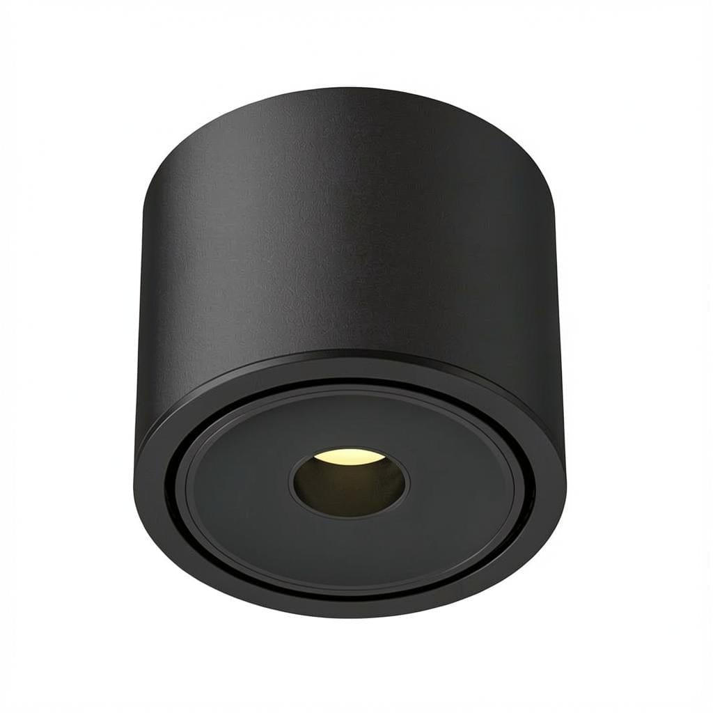 Ysolenyae Deux | Surface Mounted Light