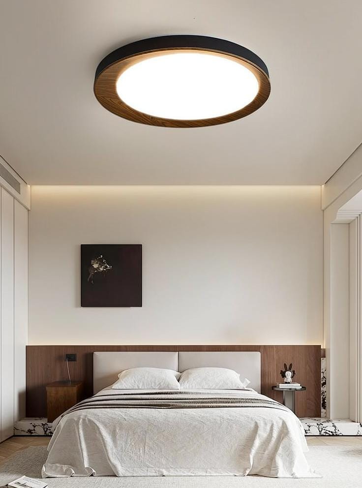 Meister | Ceiling Mounted Light - Detail View #4 | HomeCartel