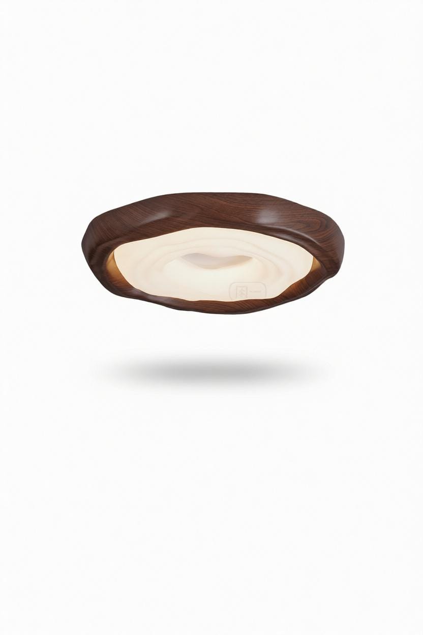 Vaelissar | Ceiling Mounted Light - Modern Lighting Fixture | HomeCartel Philippines