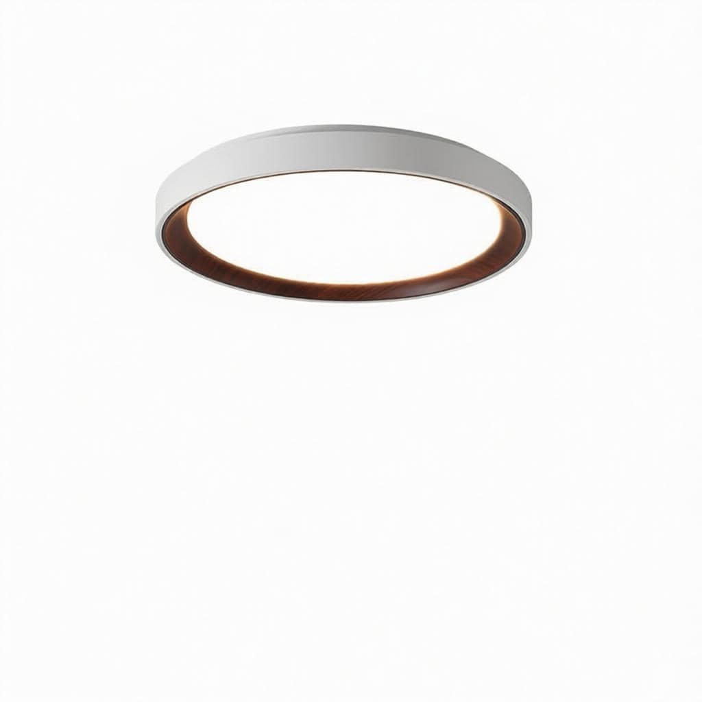 Blunden | Ceiling Mounted Light