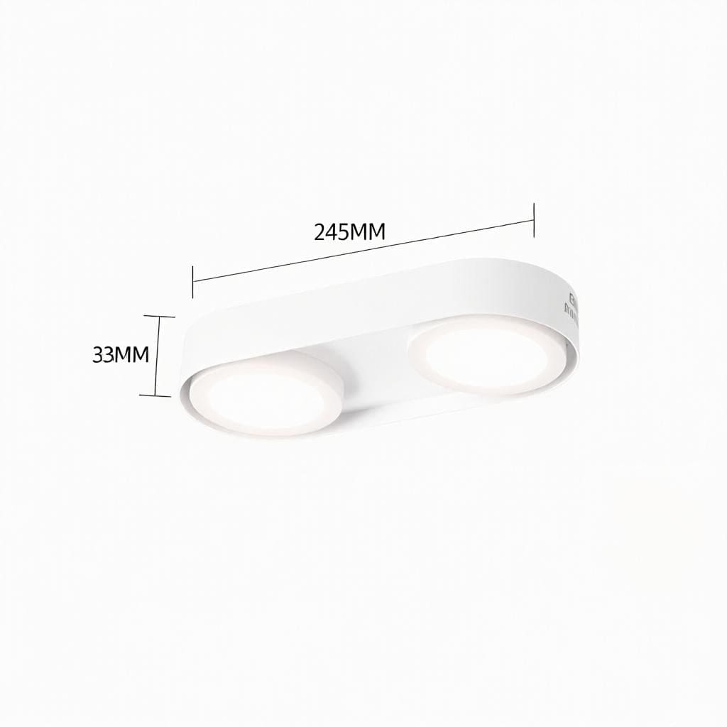 Aelaris | Surface Mounted Light