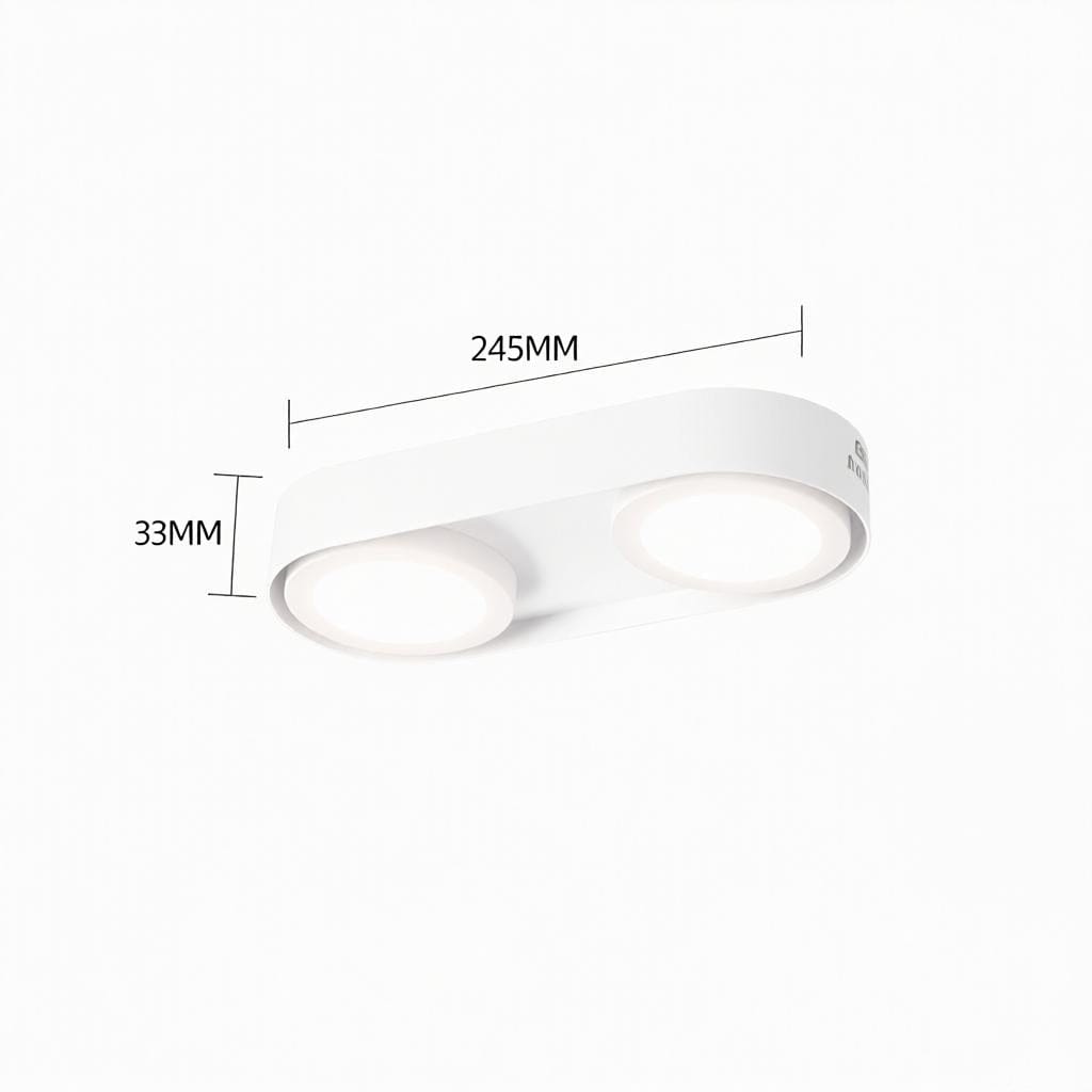 Aelaris | Surface Mounted Light