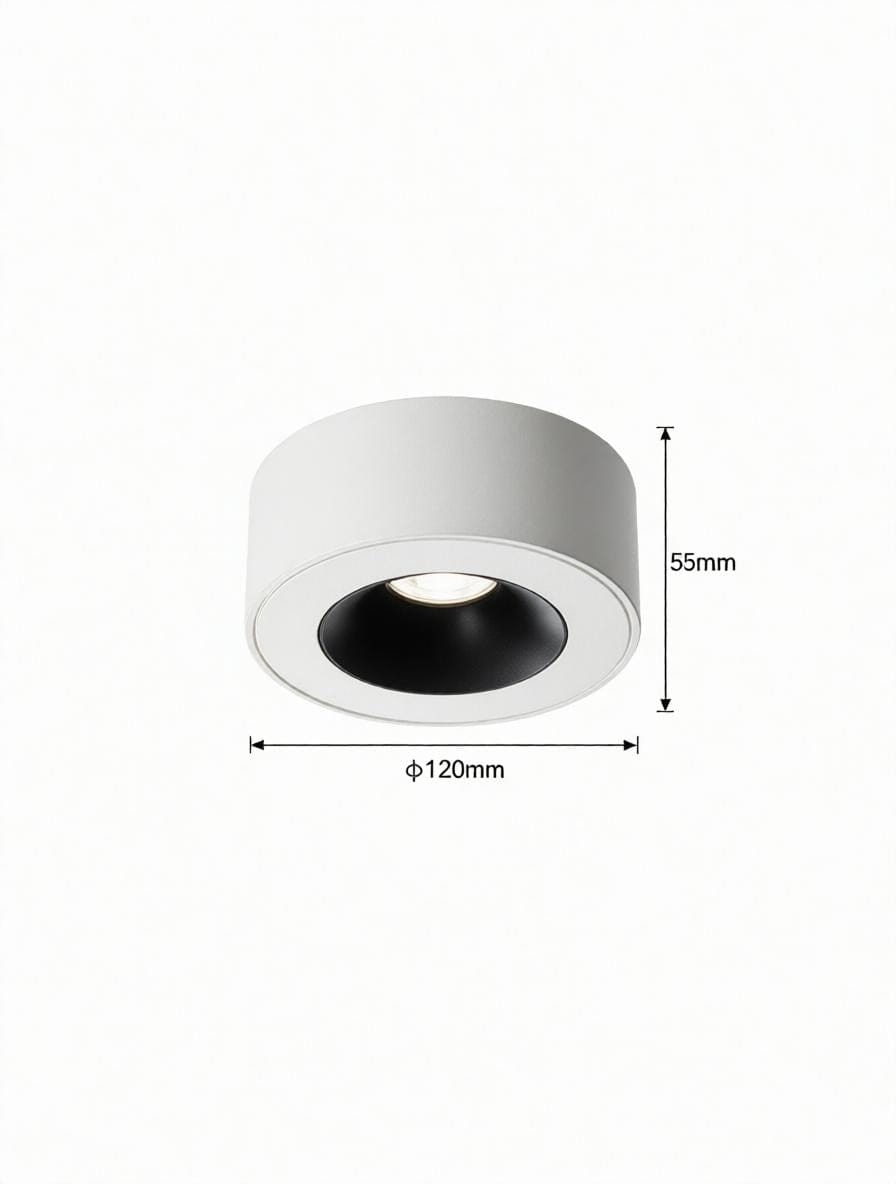 Sylarenil | Surface Mounted Light