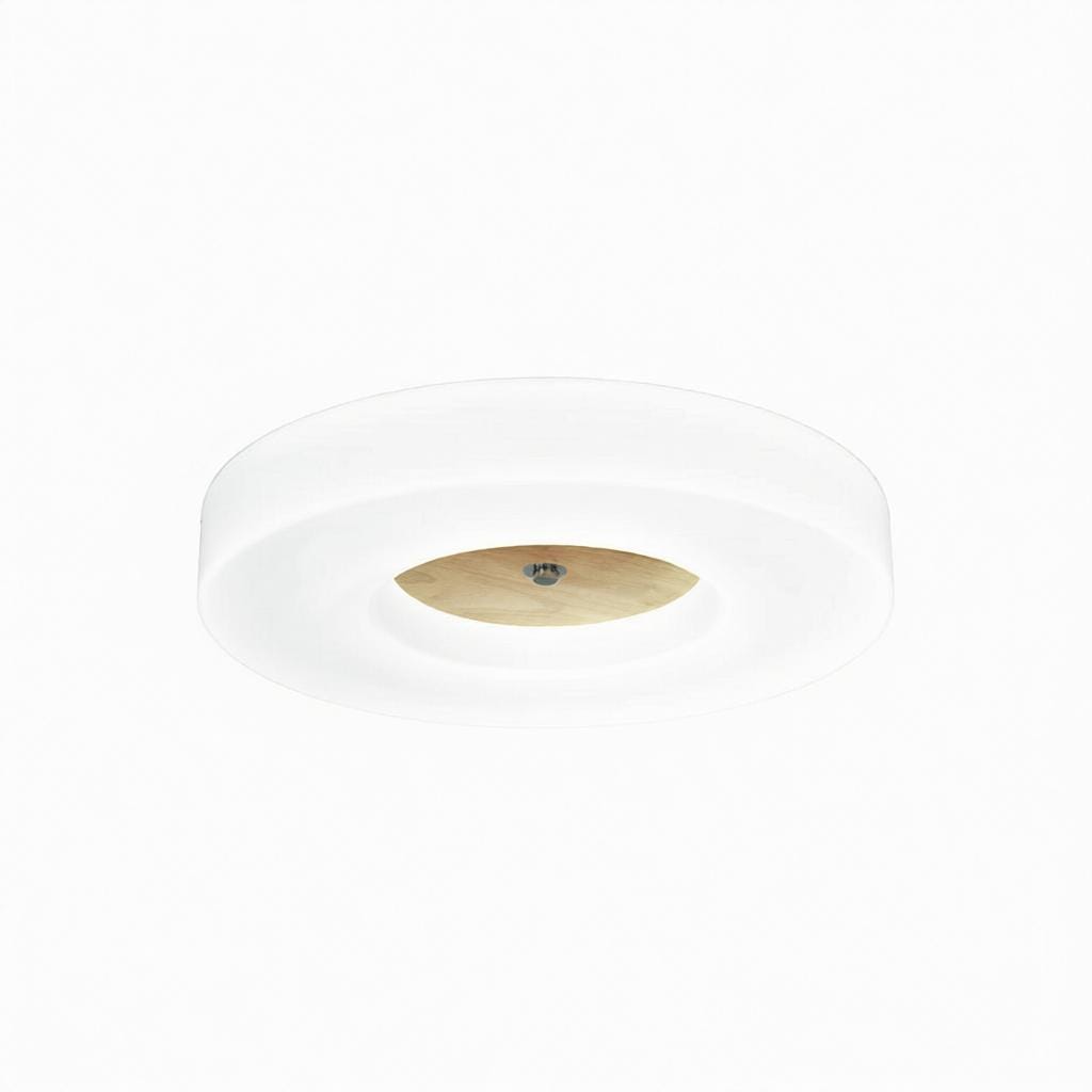 Lirianne | Ceiling Mounted Light
