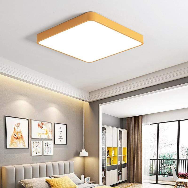 Baron Deux | 2 Color Ceiling Mounted Light - Home Cartel ®