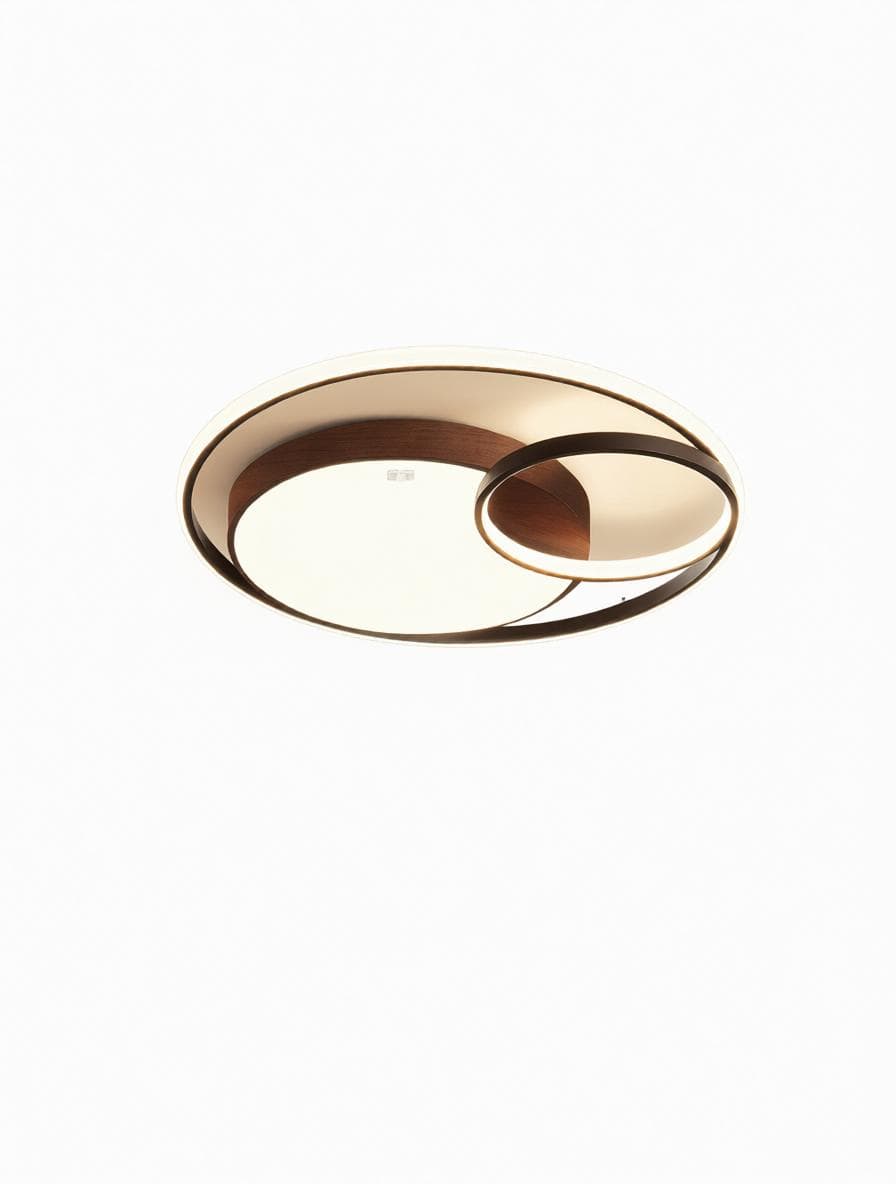 Ithaniel B | Ceiling Mounted Light - Detail View #8 | HomeCartel