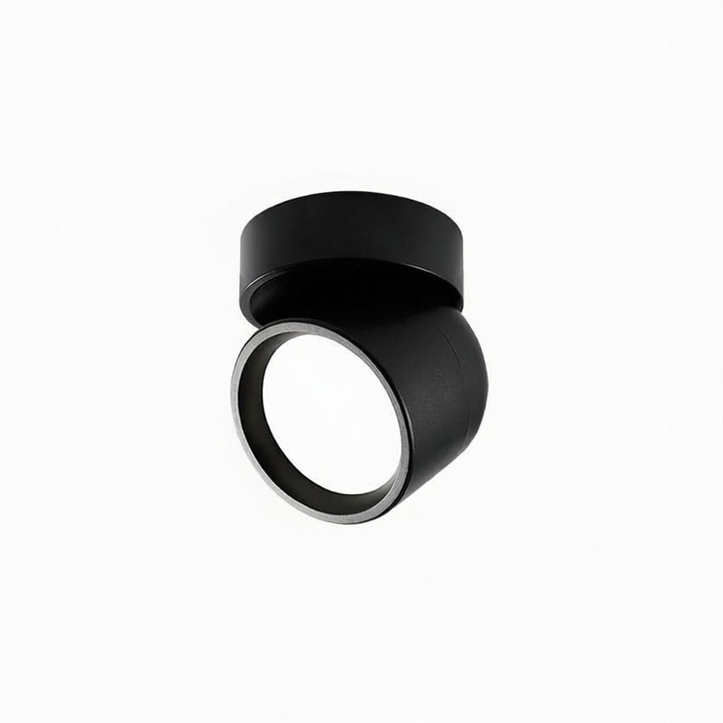 Jorvenithae | Surface Mounted Light