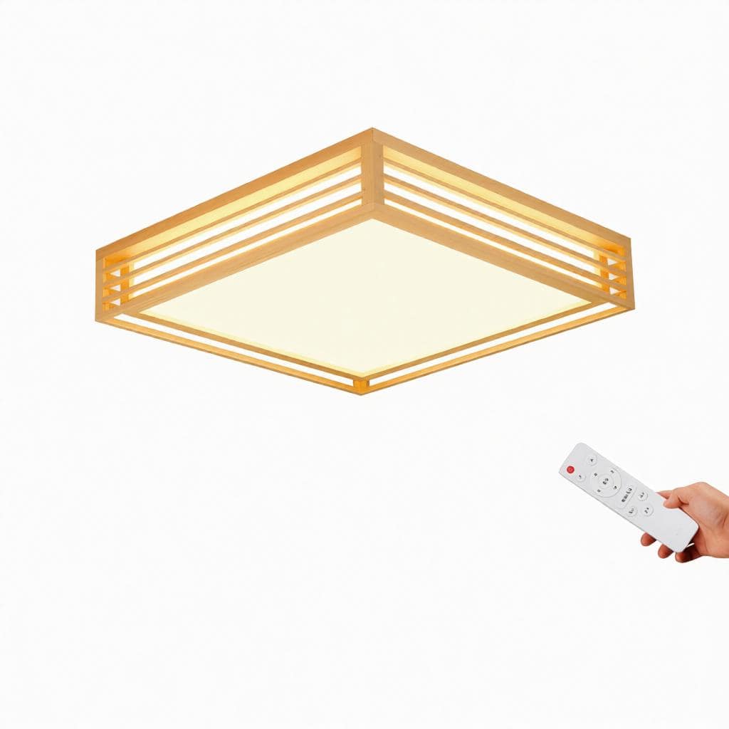 Iselwyn | Ceiling Mounted Light