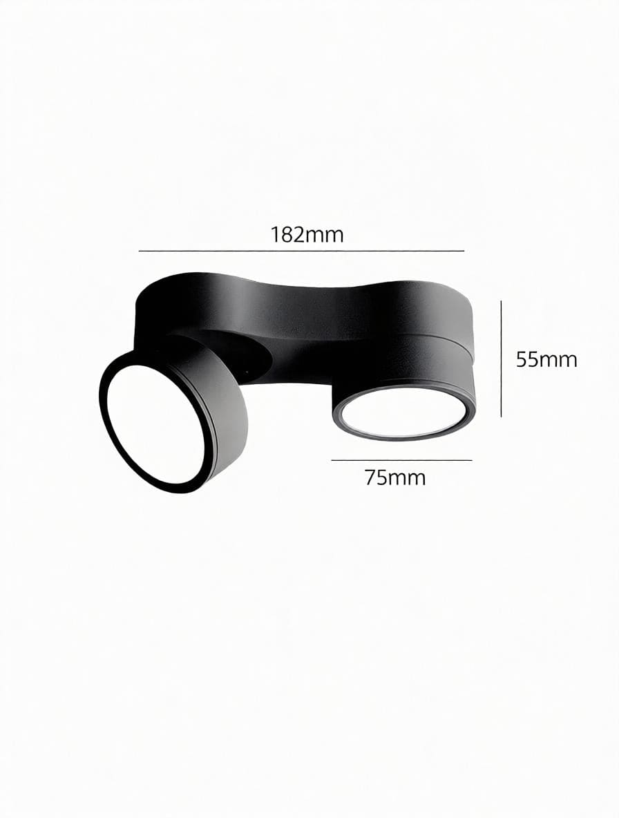 Kelryssarae | Surface Mounted Light