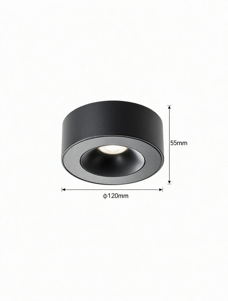 Sylarenil | Surface Mounted Light