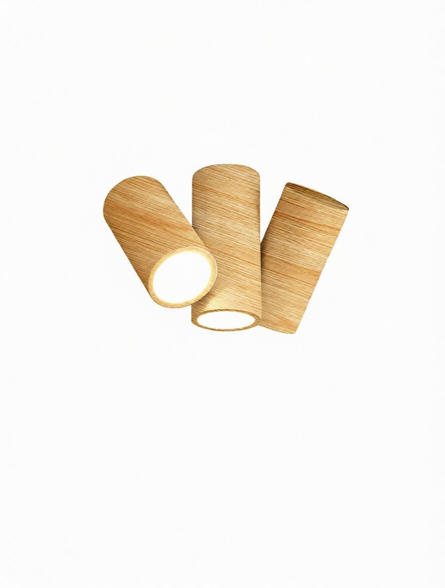 Drovanelis | Surface Mounted Light