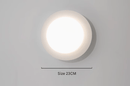 Bexrin | Wall Light