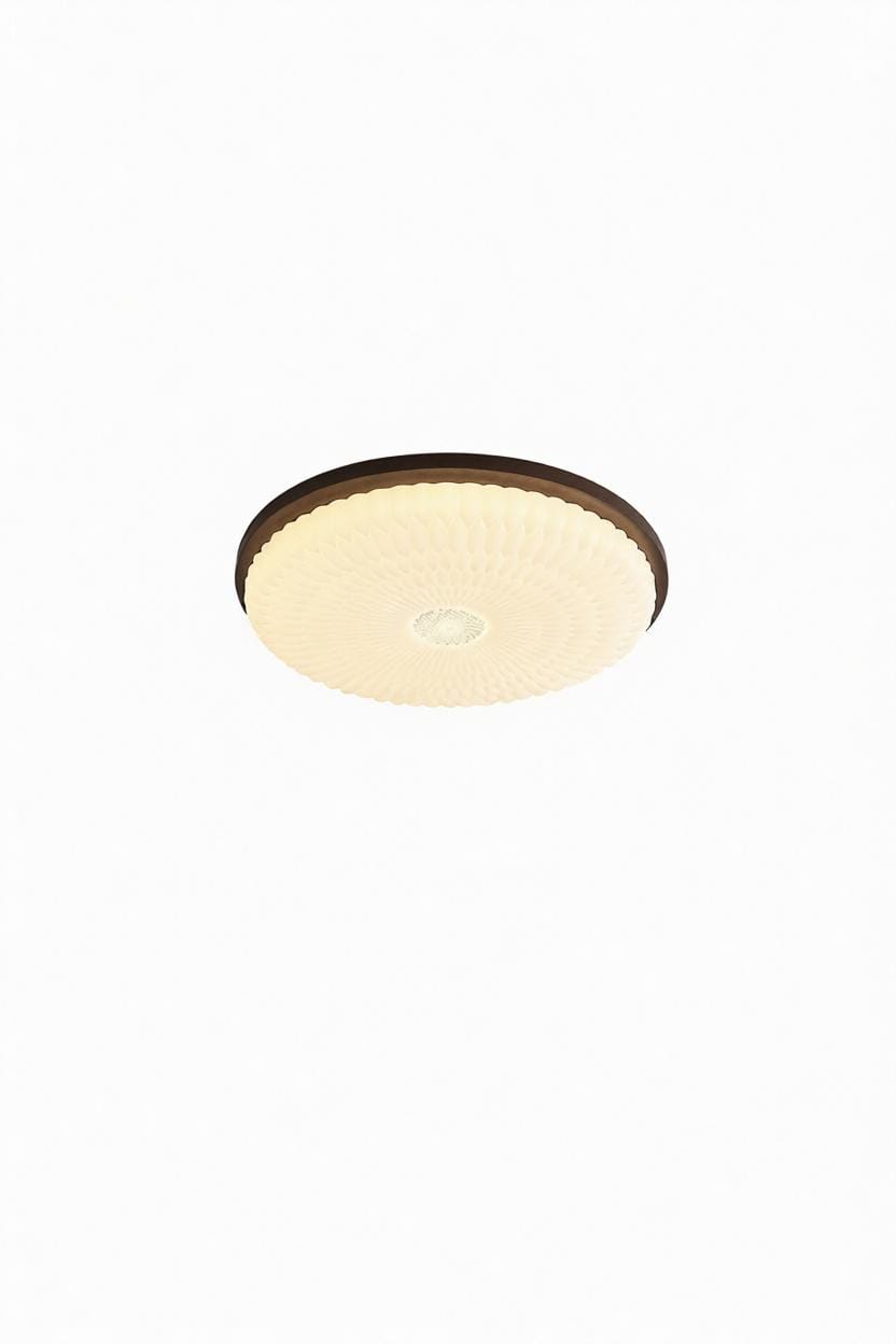 Valthai B | Ceiling Mounted Light - Modern Ceiling Mounted Light | HomeCartel Philippines