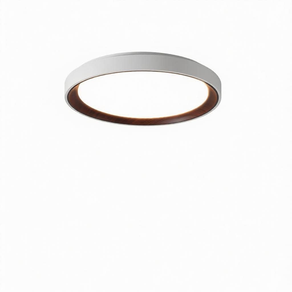 Blunden | Ceiling Mounted Light