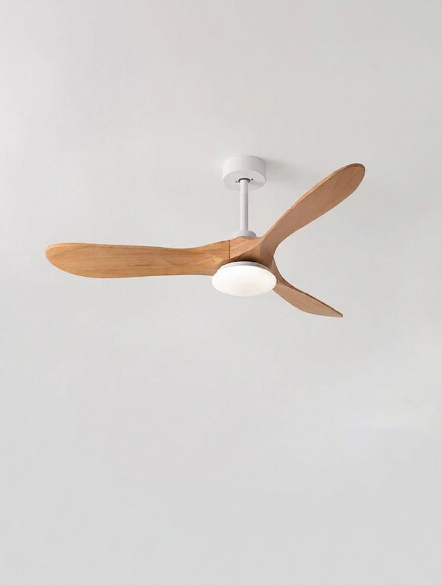 Penoril | Outdoor Lighted Ceiling Fan - Home Cartel ®