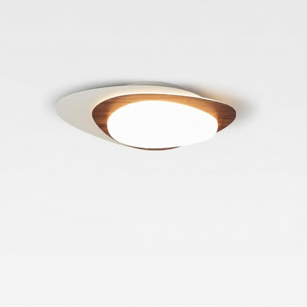 Brandin | Ceiling Mounted Light - Modern Lighting Fixture | HomeCartel Philippines