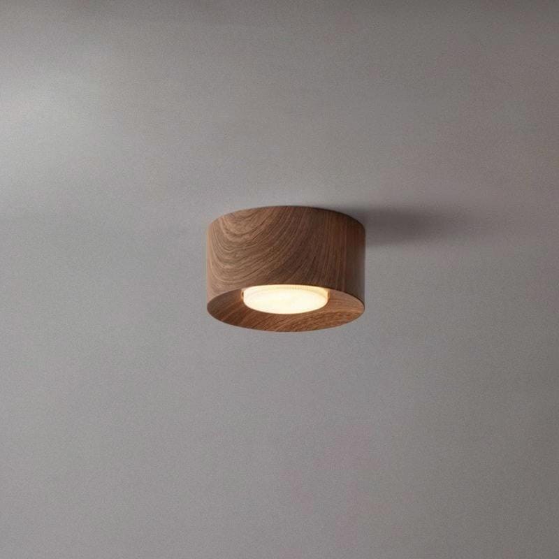 Dardenne 1 | Ceiling Mounted Light - Detail View #2 | HomeCartel