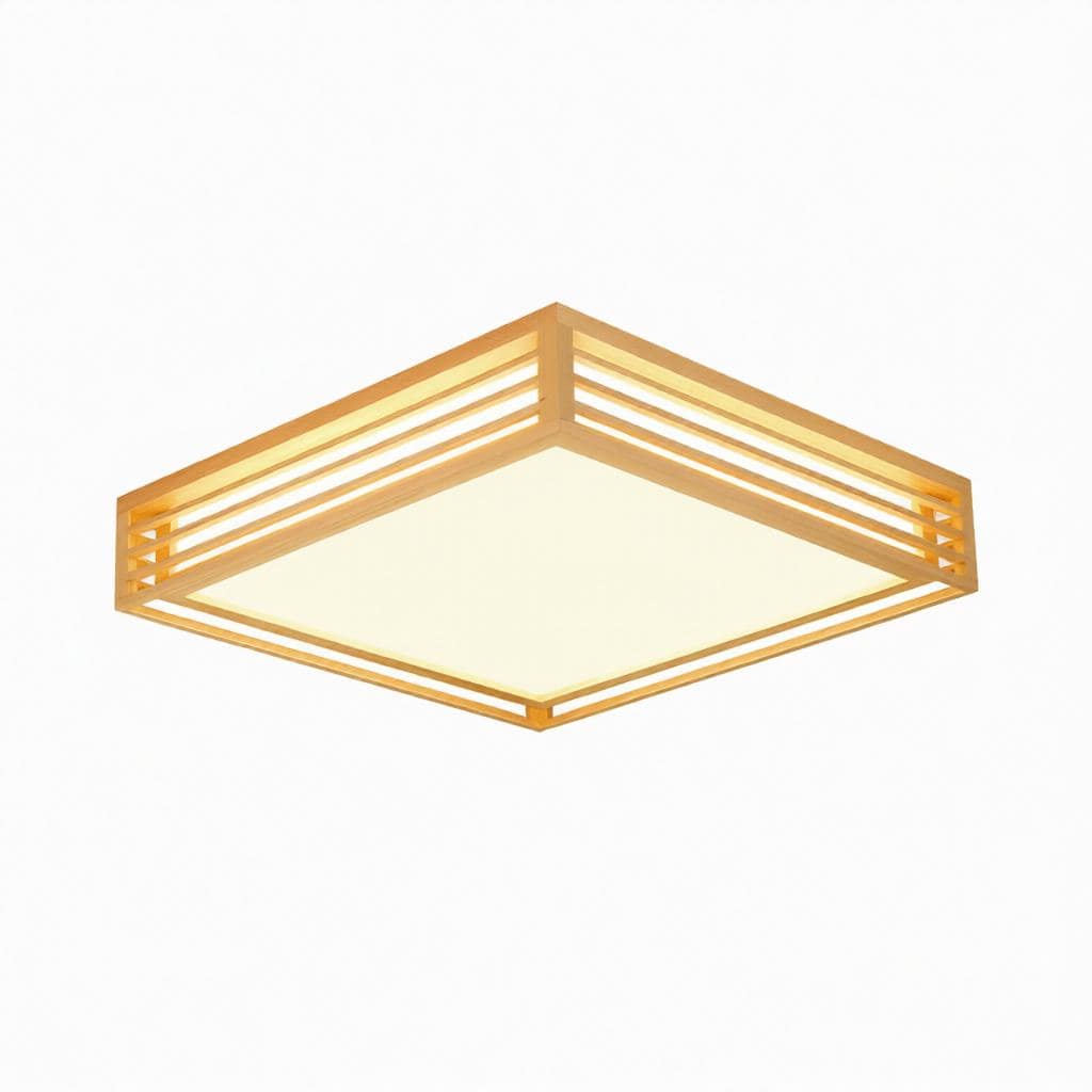 Iselwyn | Ceiling Mounted Light