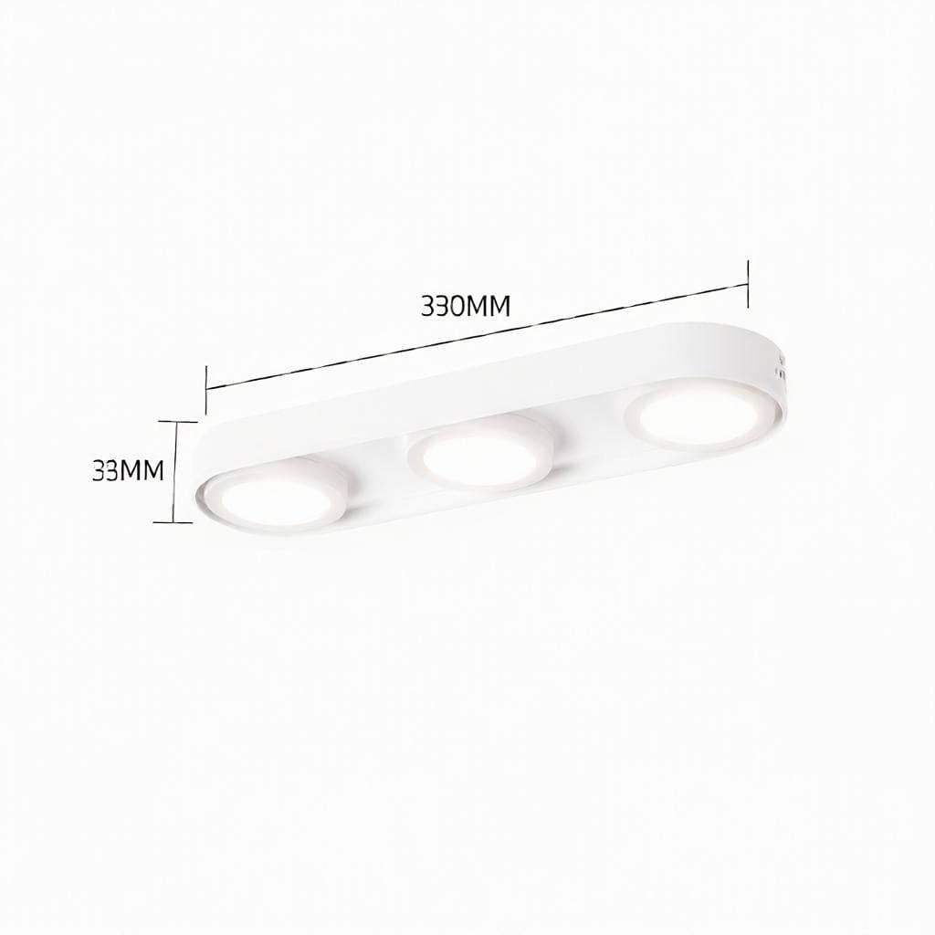 Aelaris | Surface Mounted Light