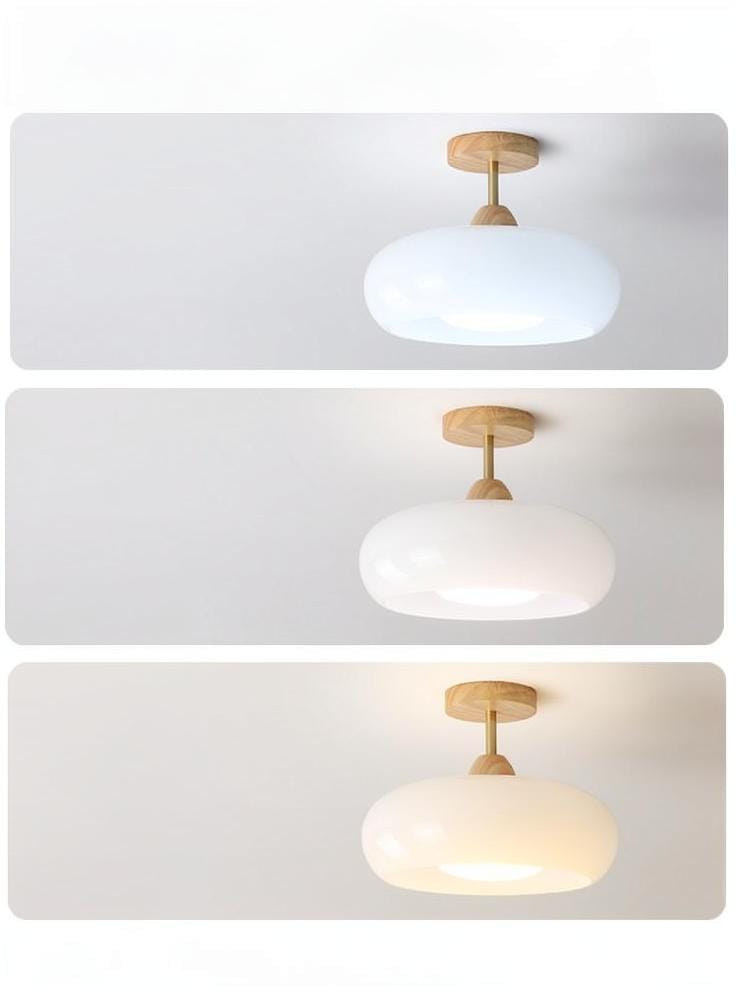 Elyvire | Semi Flush Mounted Light - Detail View #4 | HomeCartel