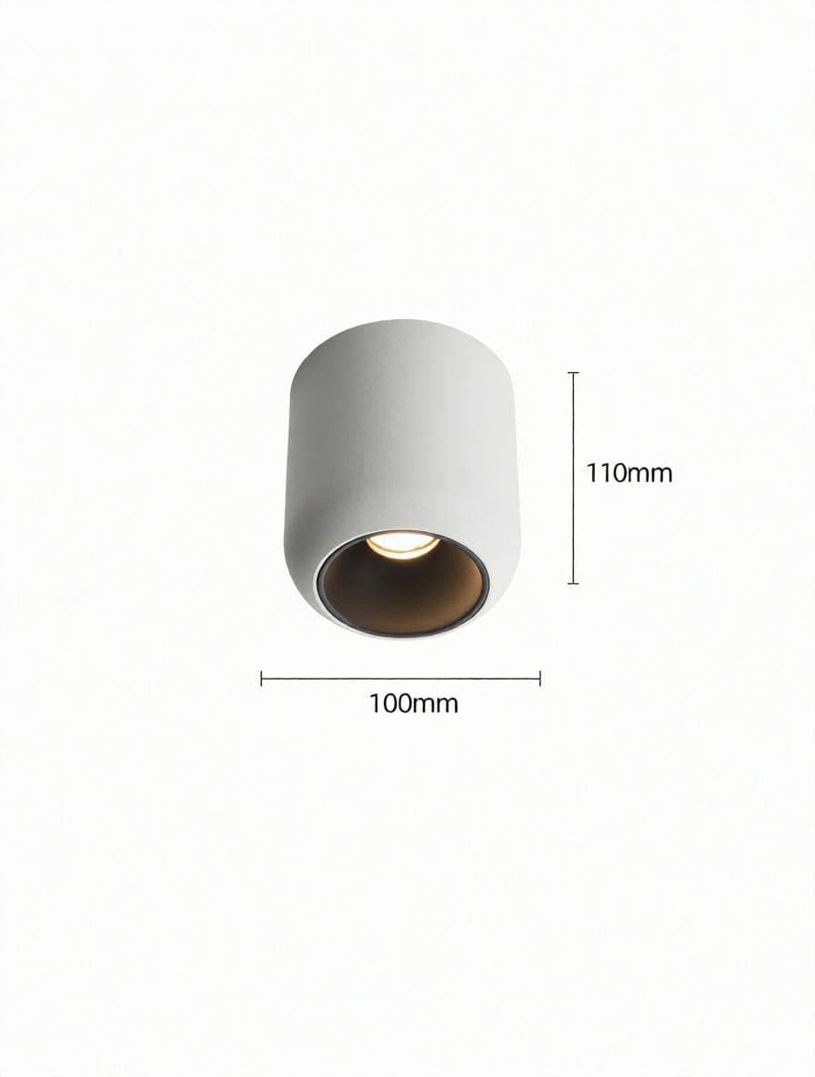 Lyrellanora | Surface Mounted Light