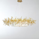 Saraki | Chandelier