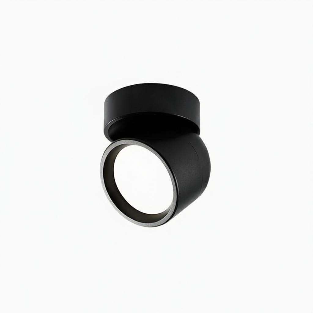 Jorvenithae | Surface Mounted Light