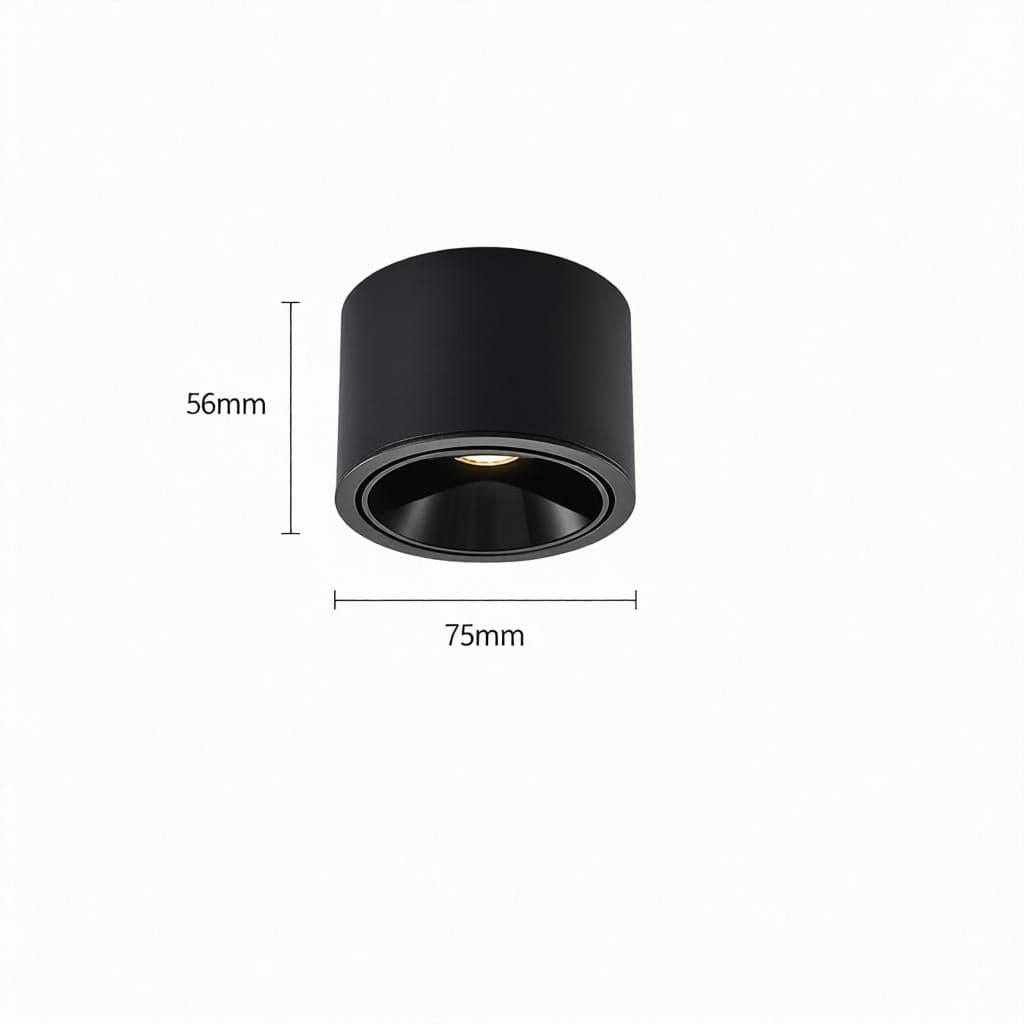 Jonvaleriae | Surface Mounted Light